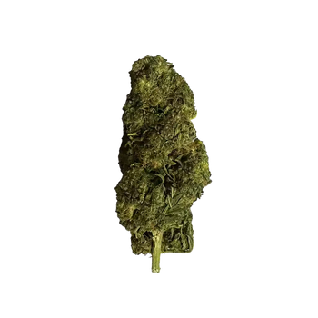 Wolv'kush 10 OH HHC