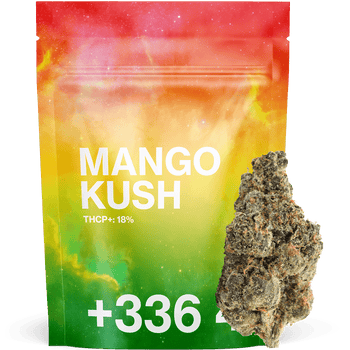 Mango Kush - fleur THCP+ by Tealer420