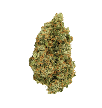 Jack Herrer THC+