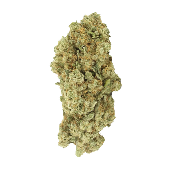 White Widow TH+