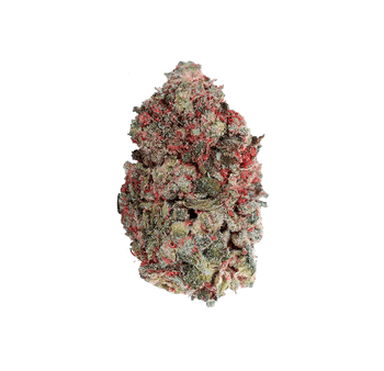Fleur du Démon Delta-P 🫐 | Tealer420